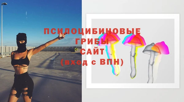 кокс Белокуриха