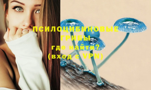 бутират Беломорск