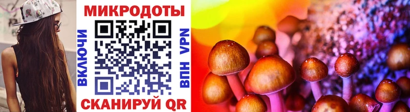 купить закладку  Новоаннинский  Псилоцибиновые грибы Psilocybine cubensis 
